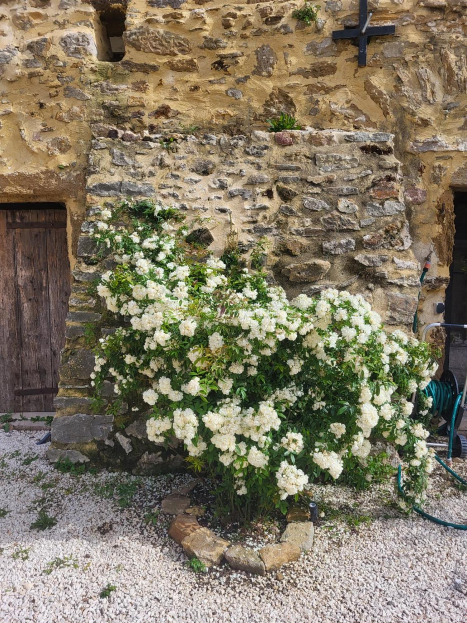 Bed and Breakfast Bastide De La Madeleine Pougnadoresse Exteriér fotografie